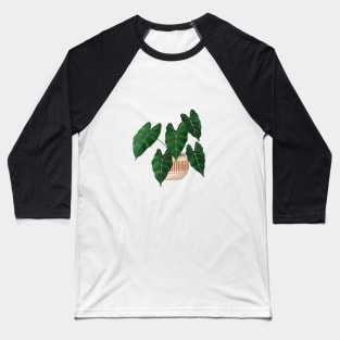 Potted plants illustration Baseball T-Shirt